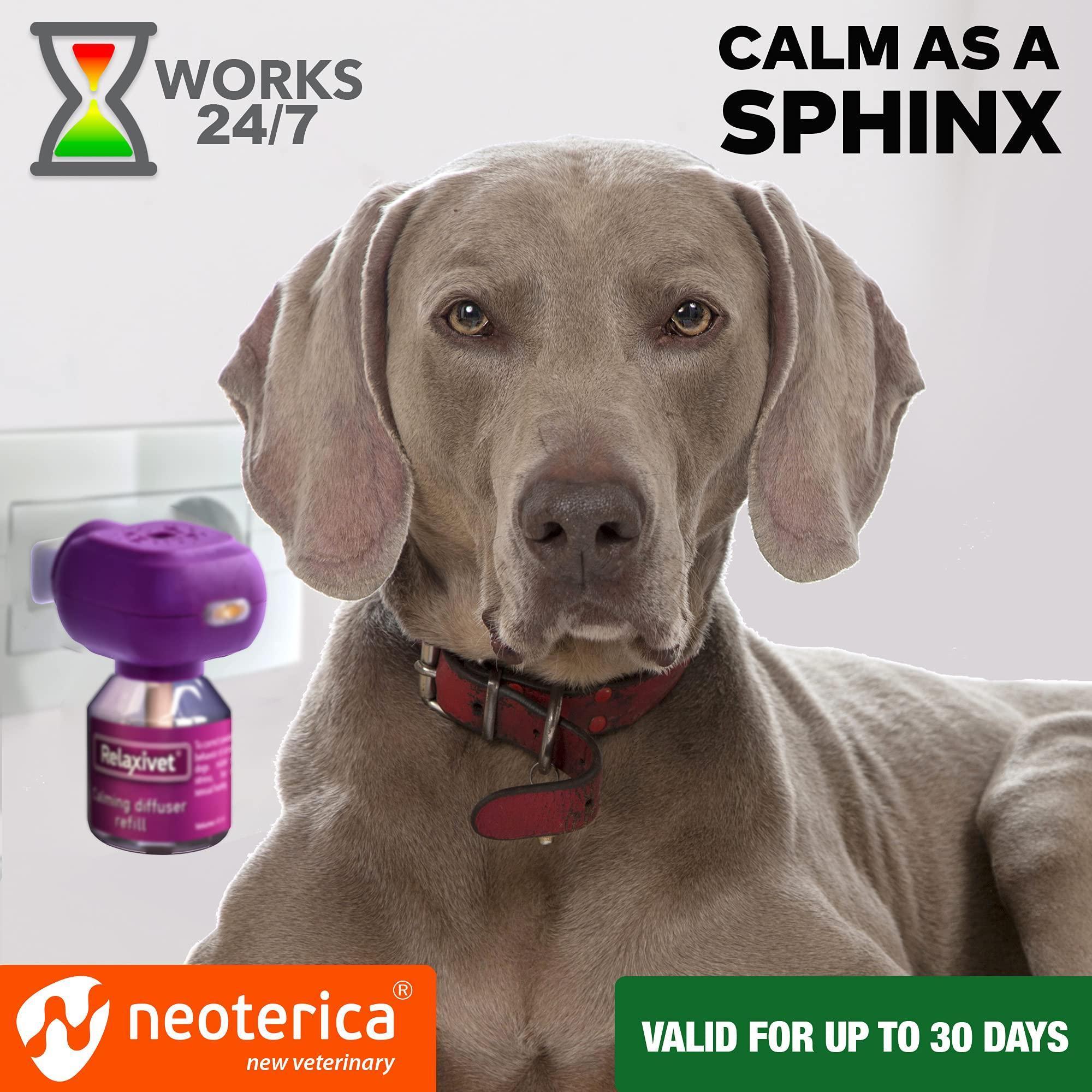 Pheromone Diffuser Kit for Dogs