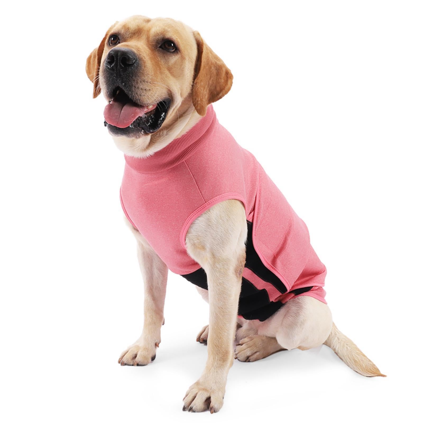Dog Anxiety Vest
